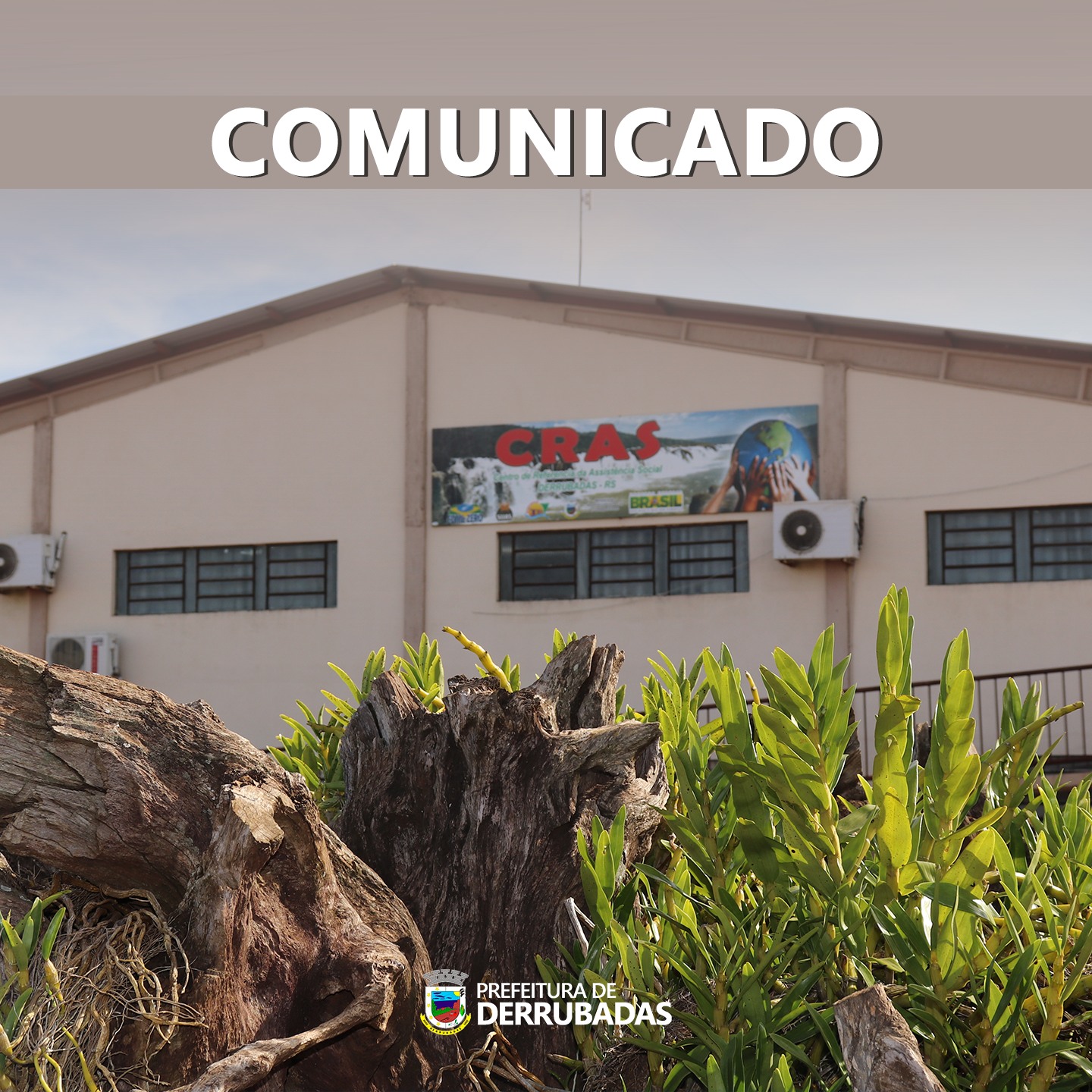 274547097 5598214383538822 2164719815073696595 n