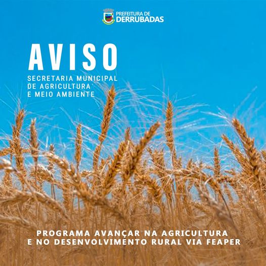 280080652 5803237223036536 4384537934722578520 n