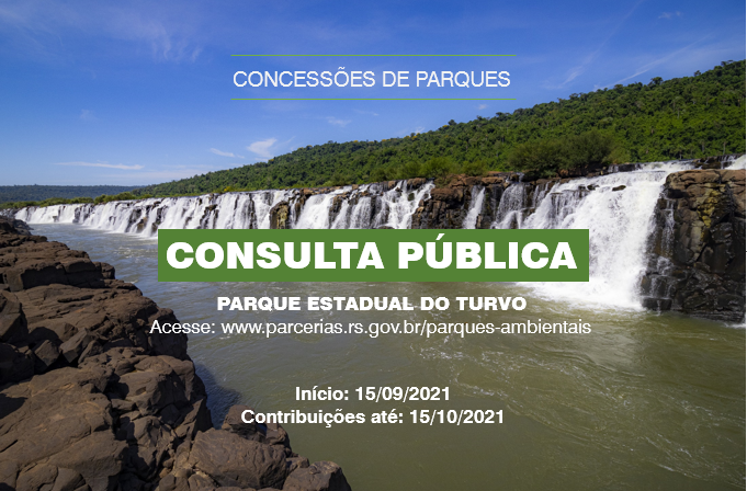 CONSULTA PÚBLICA